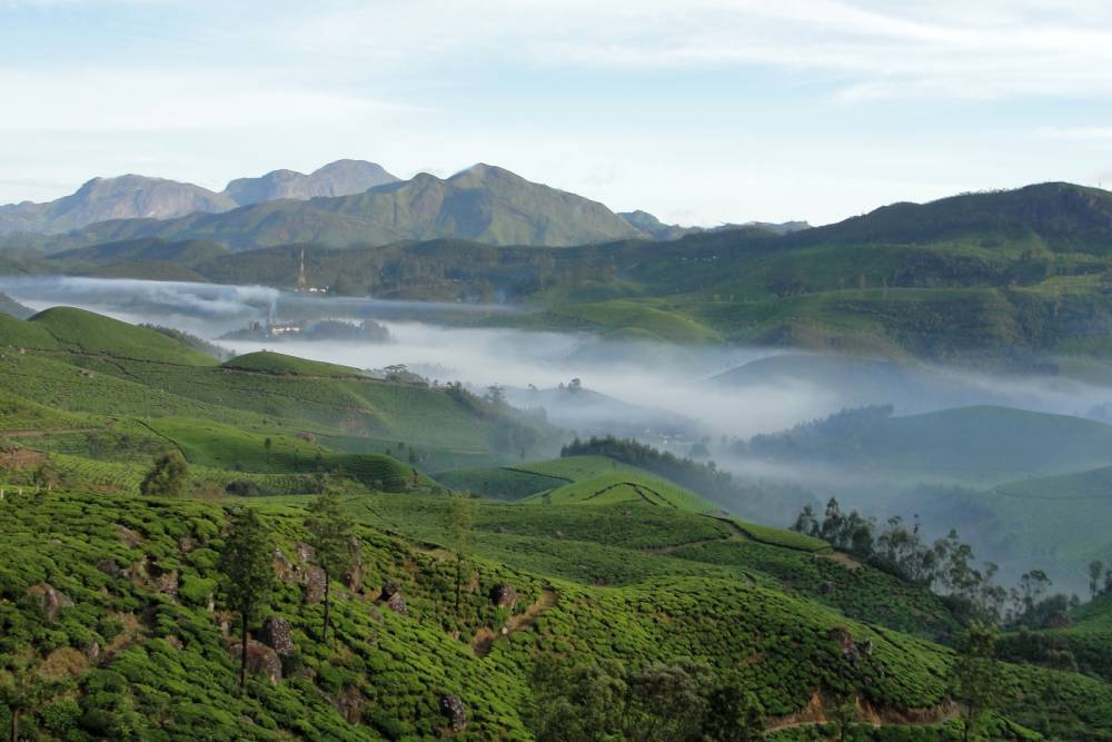 Munnar (18)